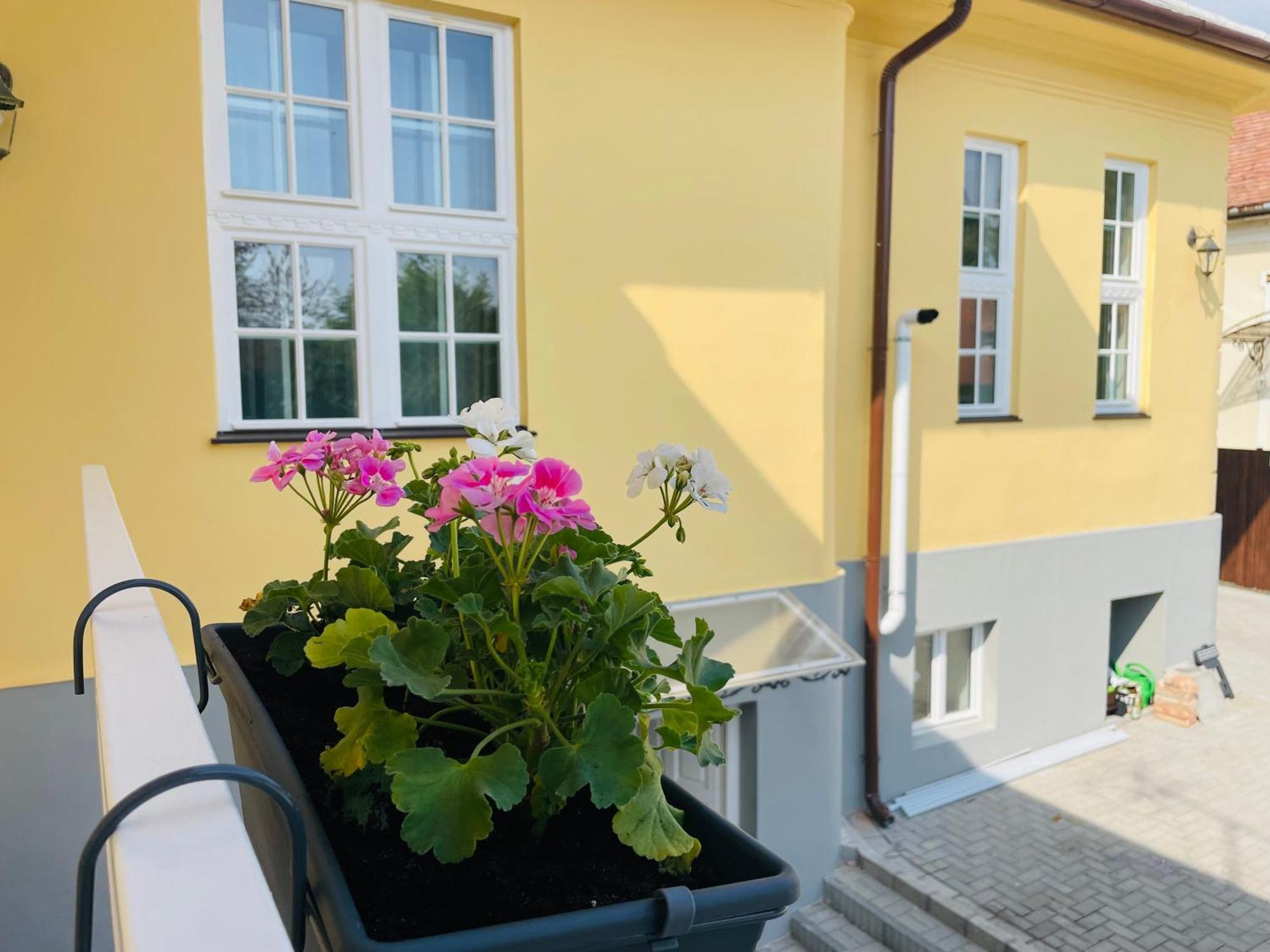 Villabaroque_Eger Exterior photo